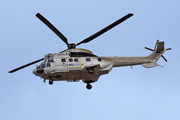 Eurocopter AS-332 C1 (F-GTLA)