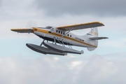 De Havilland Canada DHC3T Turbine Otter (N708KA)