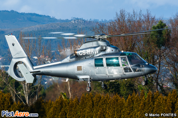 Eurocopter AS-365N-1 Dauphin 2 (Everjets)