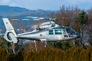 Eurocopter AS-365N-1 Dauphin 2 (CS-HHW)