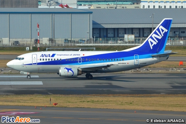 Boeing 737-5L9 (ANA Wings)