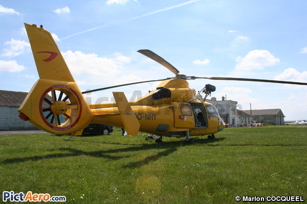Eurocopter AS-365N-3 Dauphin 2 (Noordzee Helikopters Vlaanderen (NHV))
