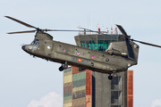 Boeing CH-47D Chinook (H.17-17)