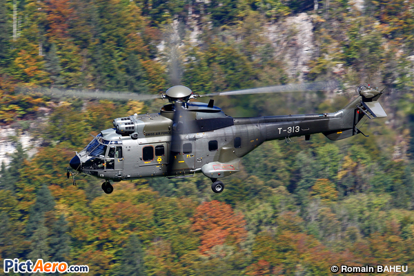 Eurocopter AS 332 M1 Super Puma (Switzerland - Air Force)