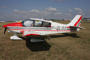 Robin DR 400-180 (F-GLDZ)