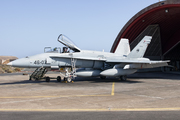 McDonnell Douglas EF-18A Hornet