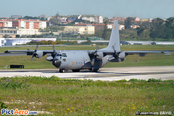 Lockheed C-130 Hercules (996) (Portugal - Air Force)