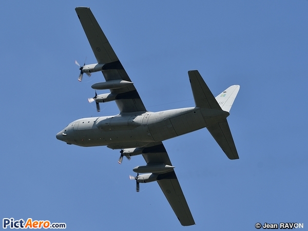 Lockheed C-130H Hercules (L-382) (Swedish Air Force)