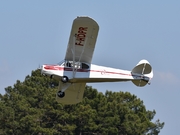 Piper PA-18-95 Super Cub (F-HDPR)
