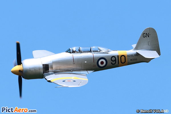 Hawker Sea Fury T Mk20 (The Fighter Collection)