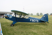 Piper L-4H Grasshopper  (J-3C-65D) (F-BDTS)