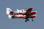 Scottish Aviation Bulldog T-1 (Beagle) (F-AZKI)