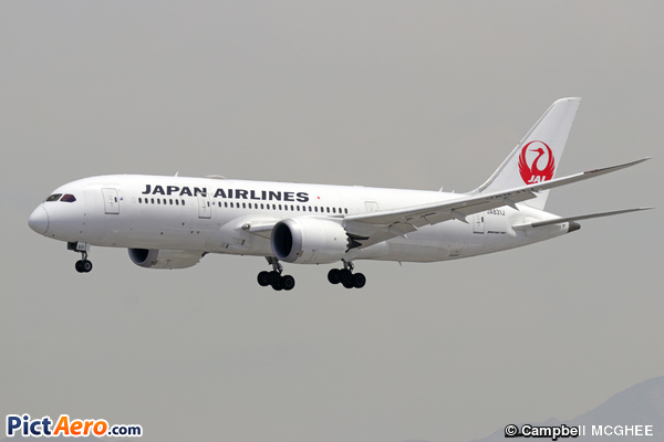 Boeing 787-8 (Japan Airlines (JAL))