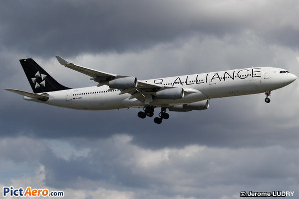 Airbus A340-313X (Lufthansa CityLine)
