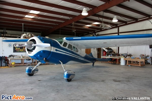 Cessna 195 (South Delta Aviation LLC)