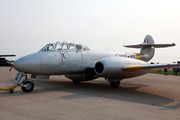 Gloster Meteor T7  (NX313Q)