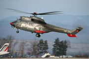 Eurocopter AS-332 C1