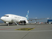 Boeing 737-7CJ/BBJ (N737ER)