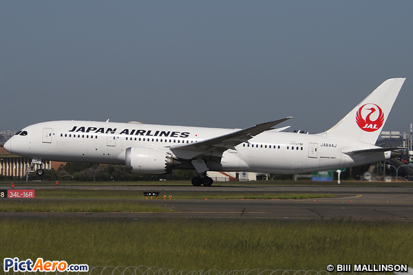 Boeing 787-8 Dreamliner (Japan Airlines (JAL))