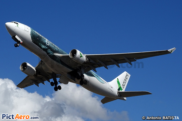 Airbus A330-223 (Azores Airlines)
