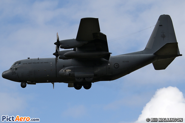 Lockheed C-130H Hercules (L-382) (New Zealand - Royal New Zealand Air Force (RNZAF))