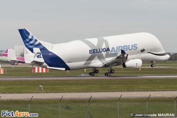 Airbus A330-743L Beluga XL (Airbus Industrie)
