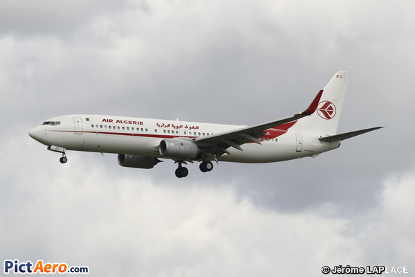 Boeing 737-8D6/WL (Air Algerie)