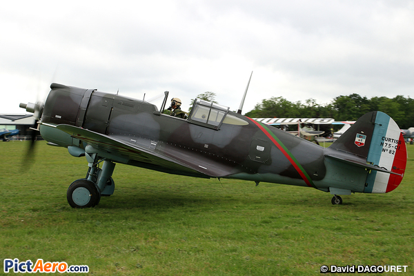 Curtiss Hawk 75A-1 (Patina Ltd)