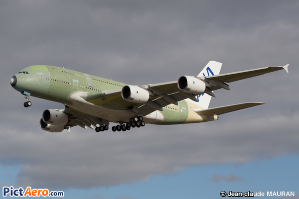 Airbus A380-841 (All Nippon Airways)