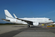 Airbus A319-115X/CJ (D-ALEX)