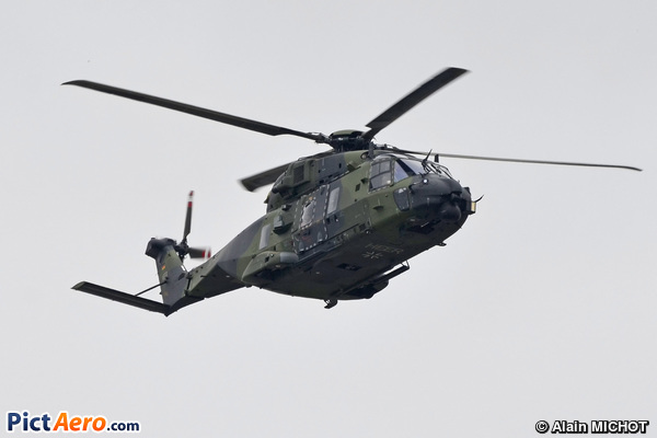 NH Industries NH-90 TTH Caiman (Germany - Army)