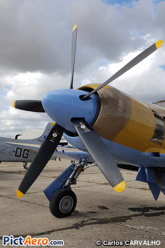 Hawker Fury FB MkII (Société Vintage Fighter Aircraft de Kris Van den Bergh)
