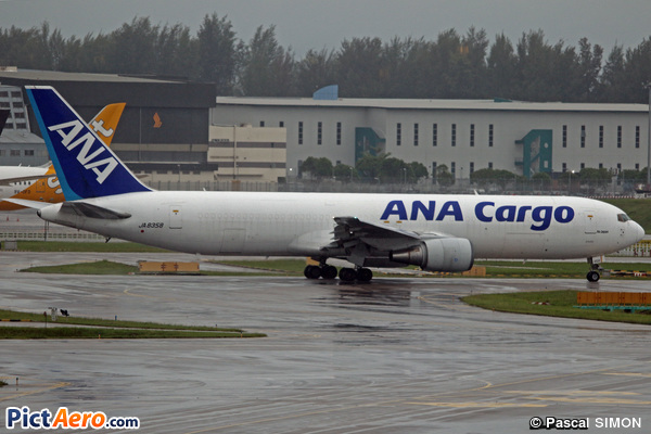Boeing 767-381ER/BCF (ANA Cargo)