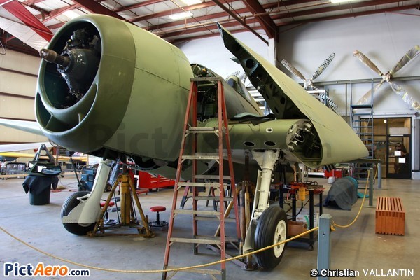 Grumman F6F-3 Hellcat (Yanks Air Museum)