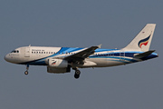 Airbus A319-132 (HS-PPA)