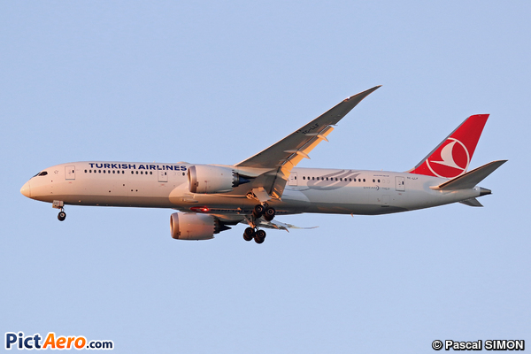 Boeing 787-9 Dreamliner (THY-Turkish Airlines)