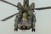 Boeing CH-47D Chinook - D-667