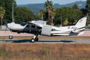 Cessna 208 Caravan I (D-FIDI)