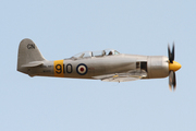 Hawker Sea Fury T20S (G-INVN)