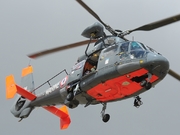 Eurocopter AS-365N-3 Dauphin 2 (24)