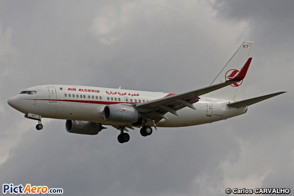 Boeing 737-7D6/WL (Air Algerie)