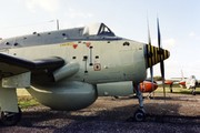Fairey Gannet AEW.3 (XP226)