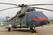 Mil Mi-171 (9844)