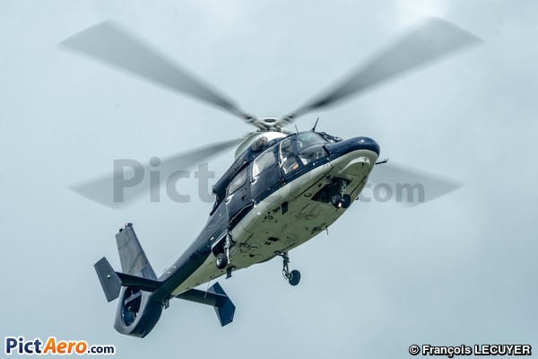 Eurocopter AS-365N-3 Dauphin 2 (United Kingdom - Army Air Corps)