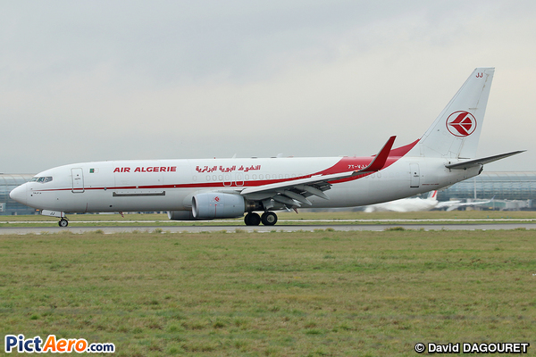 Boeing B-737.8D6/BCF Freighter Winglets (Air Algérie Cargo)