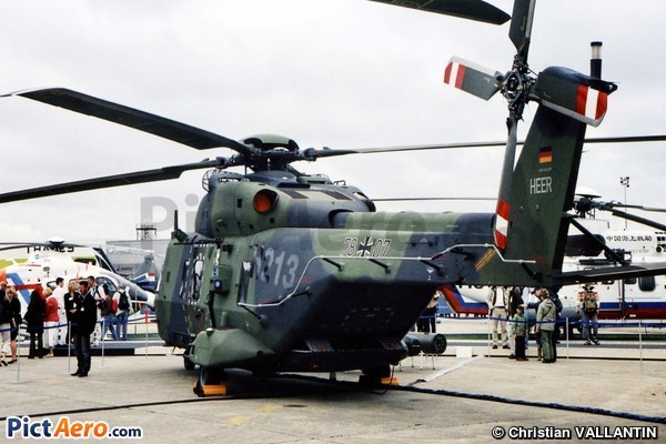 NH Industries NH-90 TTH Caiman (Germany - Army)