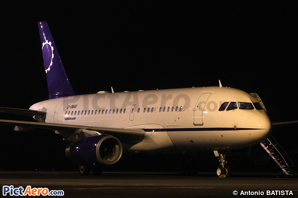 Airbus A319-132 (Twinjet Aircraft)