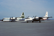 Lockheed C-130H Hercules (L-382) (HZ-116)