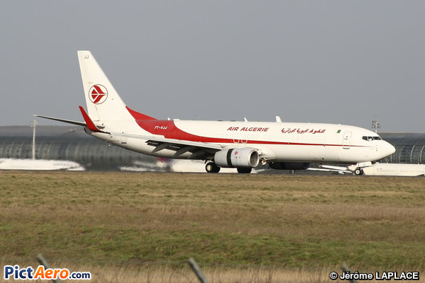 Boeing B-737.8D6/BCF Freighter Winglets (Air Algérie Cargo)