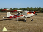Cessna 180 Skywagon (N239WM)